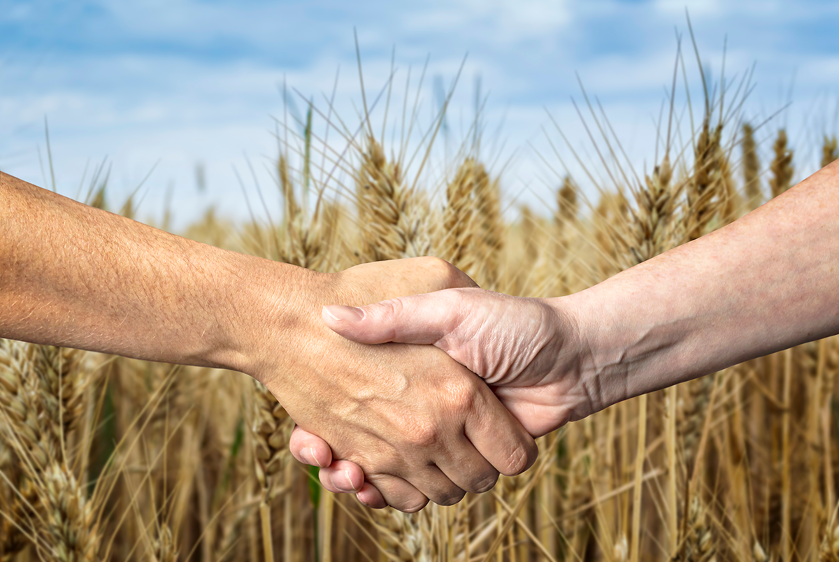 Two people shaking hands in front of wheat field